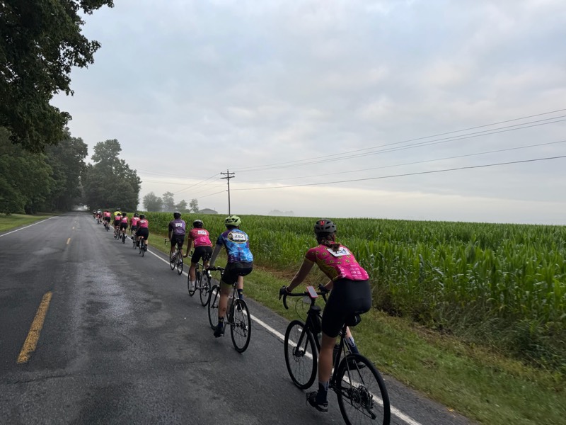Riders heading down a misty country road past green cornfields in the early morning.